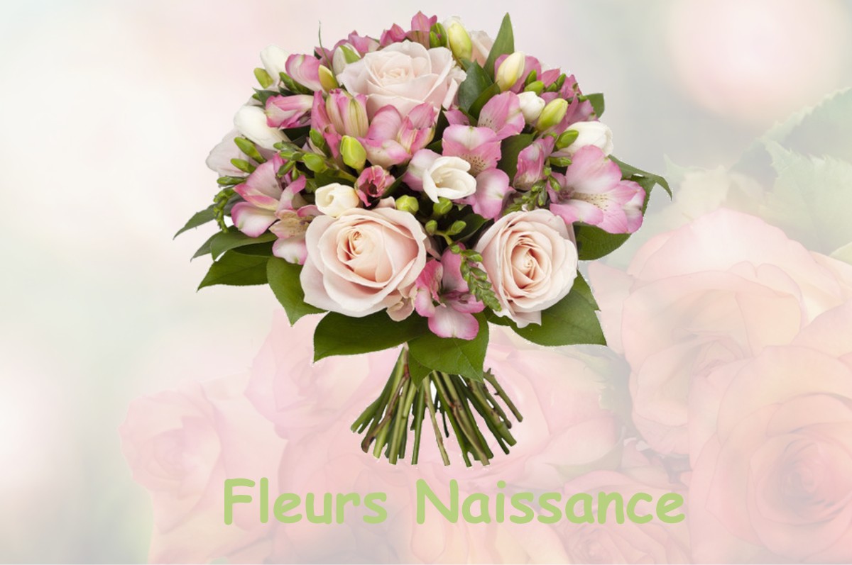 fleurs naissance LE-MESNIL-PATRY