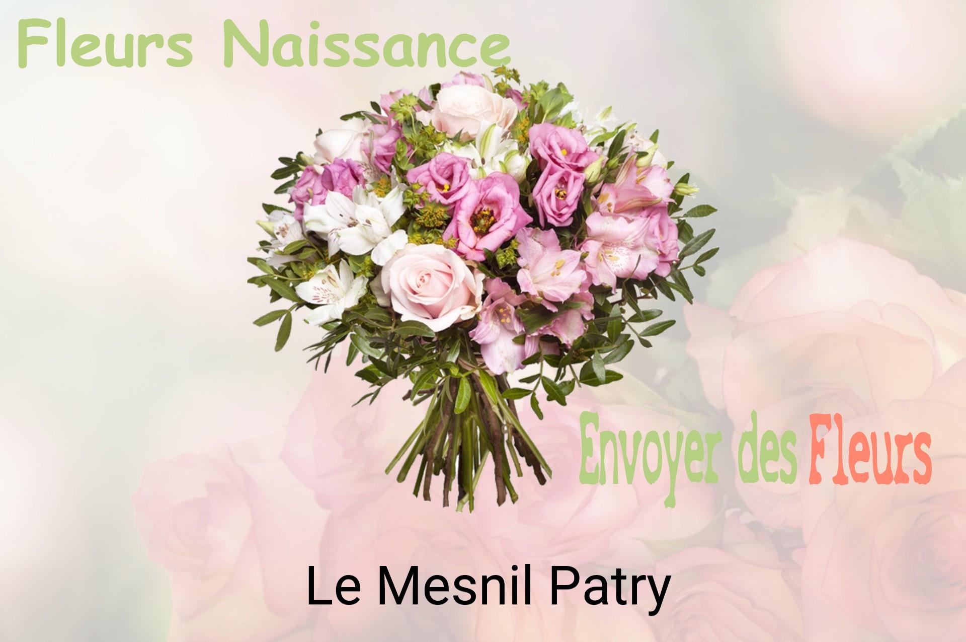 Bouquet de fleurs de naissance livré à Le Mesnil-Patry